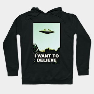 I Want To Believe #3 UFO Conspiracy Ancient Aliens Hoodie